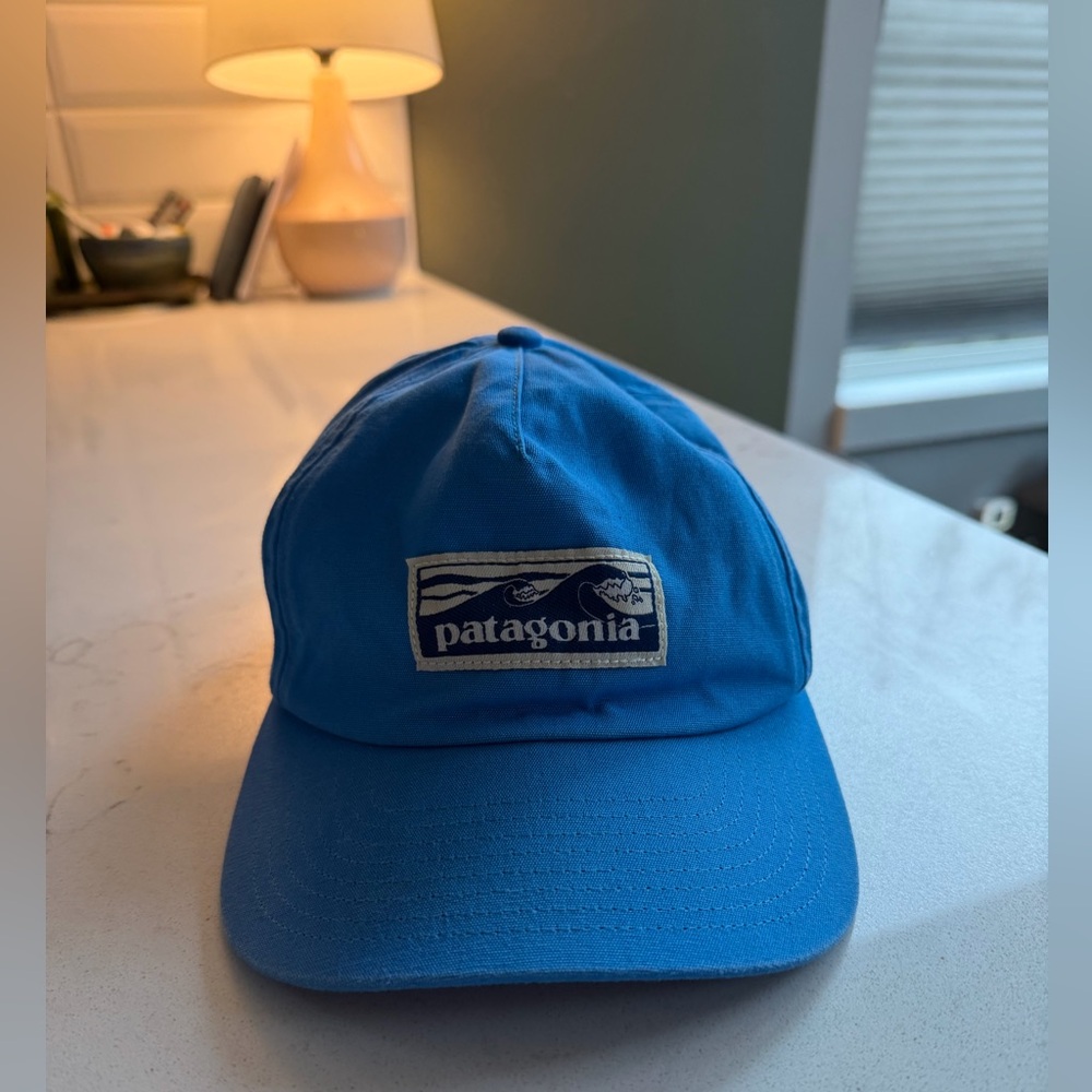 Patagonia Baseball Cap